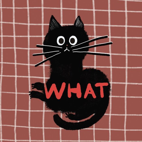 Funda cojín WHAT (Ugly Cats) - Image 3